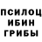 Галлюциногенные грибы GOLDEN TEACHER Xasan Gafforov