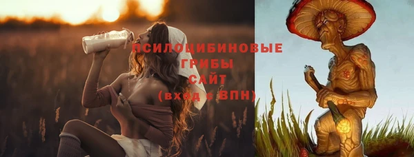 МДПВ Михайловск