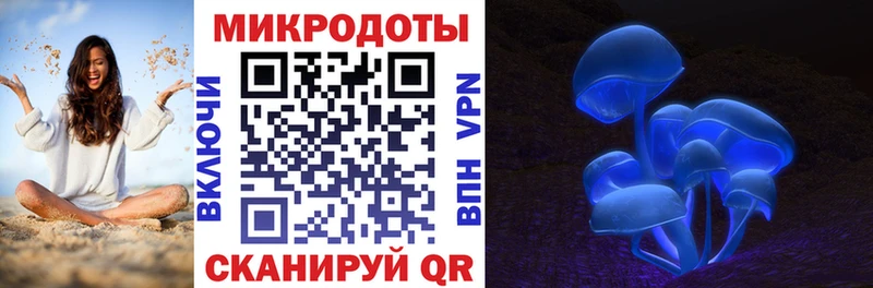 наркошоп  Почеп  Галлюциногенные грибы Psilocybine cubensis 