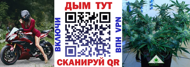 даркнет сайт  блэк спрут сайт  Каннабис гибрид  Почеп 